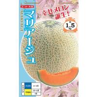 鈴乃園 Yahoo!ショッピング店 - メロン｜Yahoo!ショッピング