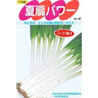 夏扇パワーのおすすめ人気商品一覧 通販 - Yahoo!ショッピング