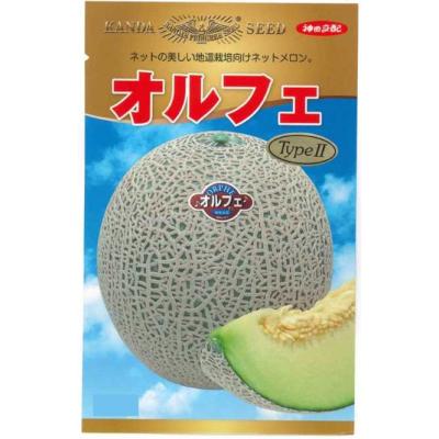 鈴乃園 Yahoo!ショッピング店 - メロン｜Yahoo!ショッピング
