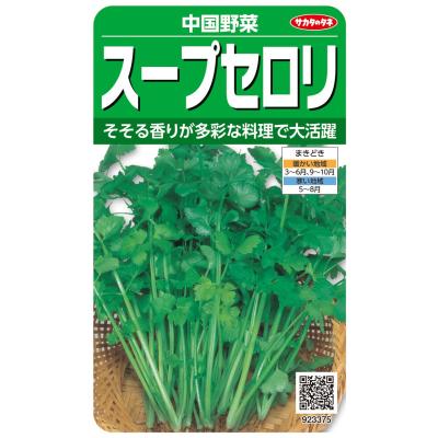 サラダセロリ（種、種子） | 花、ガーデニング のおすすめ人気商品一覧