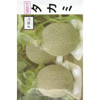 まくわうりの商品一覧 通販 - Yahoo!ショッピング