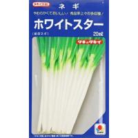 ホワイトスター ネギ苗の商品一覧 通販 - Yahoo!ショッピング