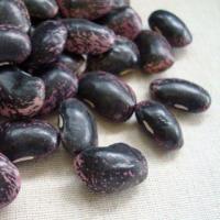 紫花豆 200g 2023年 北海道産 | 豆・雑穀の専門店 すずや