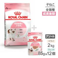 子猫成長後期【はじめてセット】ロイヤルカナン キトン ドライ2kg×1・ウェットローフ85g×12 (猫・キャット)[正規品] | スイートペットプラス