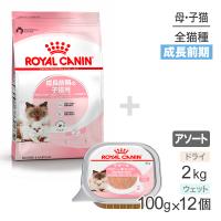 子猫成長前期【はじめてセット】ロイヤルカナン マザー＆ベビーキャット ドライ2kg×1 ＋ ウェット100g×12 (猫・キャット)[正規品] | スイートペットプラス