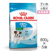 【800g×5袋】ロイヤルカナン ミニパピー (犬・ドッグ) [正規品] | スイートペットプラス