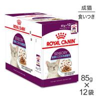 【85g×12袋】ロイヤルカナン FHN-WET センサリー フィール 食感にこだわりがある成猫用 生後12ヵ月齢以上 パウチ (猫・キャット)[正規品] | スイートペットYahoo!店