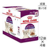 【85g×48袋】ロイヤルカナン FHN-WET センサリー フィール 食感にこだわりがある成猫用 生後12ヵ月齢以上 パウチ (猫・キャット)[正規品] | スイートペットYahoo!店