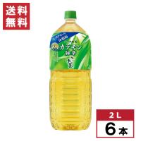 【まとめ買い】伊藤園 おーいお茶 カテキン緑茶 2L×6本 [トクホ] 血中コレステロール お茶 箱買い ケース買い 特保 | ダイユーエイト収納ナビ.com