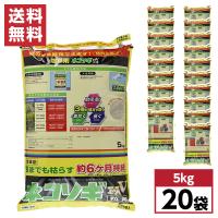 【まとめ買い】レインボー薬品 ネコソギエースＶ粒剤 5kg×20袋　粒剤除草剤 土壌処理型 非農耕地用 | ダイユーエイト収納ナビ.com