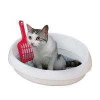 アイリスオーヤマ ネコのトイレ しろ Sサイズ | ダイユーエイト収納ナビ.com