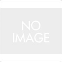 デイトナ DAYTONA ハイサイダー ロケット・ブレット（2個 1セット）/クローム 15309 | T FOUR 自動車のパーツ用品専門店