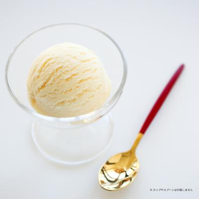 一点物【食品サンプル】大盛りアイスサンデー　実物大サイズ 高級品 新品未使用 DIYアイスクリームモデル食品型 - サンデー小道具おもちゃ