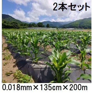 生分解性マルチのおすすめ人気ランキングTOP100 - Yahoo!ショッピング