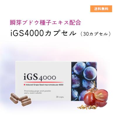 IGS 4000のおすすめ人気商品一覧 通販 - Yahoo!ショッピング