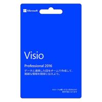 Microsoft Visio 2016 Professional 2PC プロダクトキー 正規版 