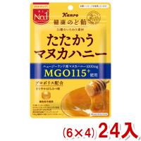 カンロ 80g 健康のど飴 たたかうマヌカハニー (6×4)24入 (Y80) 本州一部送料無料 | ゆっくんのお菓子倉庫ヤフー店