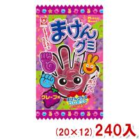 杉本屋 15g まけんグミ グレープ (20×12)240入 (駄菓子 お菓子) (Y12)(ケース販売) 本州一部送料無料 | ゆっくんのお菓子倉庫ヤフー店