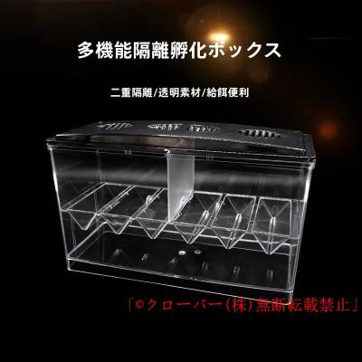 グッピーセット【グッピーを買うだけですぐに飼えます】 楽天市場】（熱帯魚）飼育セット グッピーセット guy〜雷