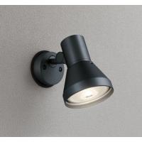 オーデリック OG044132 エクステリア LEDスポットライト 灯具のみ LED電球ビーム球形対応 非調光  照明器具 壁面・天井面取付兼用 | タカラマート