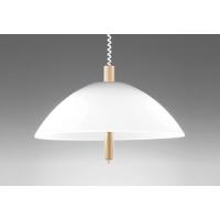 オーデリック OP087150NR 手動昇降型LEDペンダントライト 白熱灯器具100W×2灯相当 昼白色 非調光 照明器具 天井照明 吊下げ | タカラマート