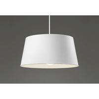 オーデリック OP252131LR LEDペンダントライト 白熱灯器具100W相当 電球色 非調光 引掛シーリング取付 吊下げ 天井照明 | タカラマート