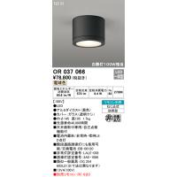 オーデリック OR037066 LED非常用照明器具 誘導灯 電池内蔵形 電球色 直付型（防雨型） 白熱灯100W相当  店舗 施設用照明器具 非常灯 | タカラマート