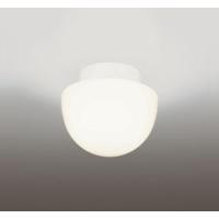 オーデリック OW269046LR LEDバスルームライト 浴室灯 白熱灯器具60W相当 R15高演色 クラス2 電球色 非調光 照明器具 防湿型 天井付・壁付け兼用 | タカラマート
