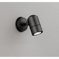 ★オーデリック OG254570NR エクステリア LEDスポットライト 白熱灯50W相当 高演色R15 クラス2 昼白色 非調光 照明器具 アウトドアライト 壁面 天井面取付兼用 | タカラPRO