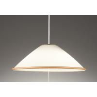 オーデリック OP087317LR LEDペンダントライト R15高演色 クラス2 白熱灯器具100W×2灯相当 電球色 非調光 電気工事不要 照明器具 天井照明 吊下げ | タカラPRO