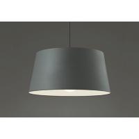 オーデリック OP252132LR LEDペンダントライト 白熱灯器具100W相当 電球色 非調光 引掛シーリング取付 吊下げ 天井照明 | タカラPRO