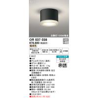 オーデリック OR037038 LED非常用照明器具 誘導灯 電池内蔵形 電球色 直付型（防雨型） 白熱灯100W相当  店舗 施設用照明器具 非常灯 | タカラPRO