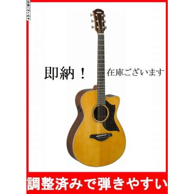 YAMAHA APX600 エレアコ （管理サヤ） YAMAHA APX600 エレアコ （管理サヤ）