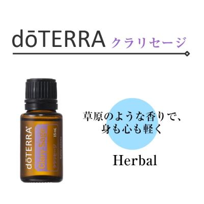 超リピート【お休み中】ドテラ At TT EA 15ml 3点 CP ドテラのおすすめ人気商品一覧 通販 - Yahoo!ショッピング