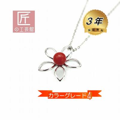 珊瑚 べっ甲専門店 匠の工芸館 - 珊瑚製品｜Yahoo!ショッピング