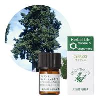 生活の木 サイプレス精油 3ml 天然精油 エッセンシャルオイル アロマ Cypress | 匠ーTAKUMIー