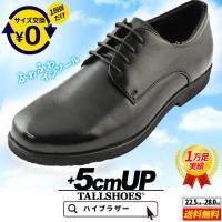 メンズ シークレットシューズのおすすめランキング 1ページ ｇランキング