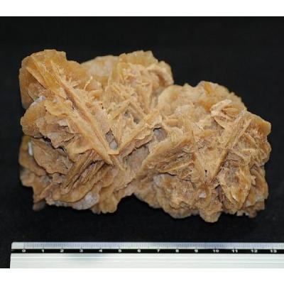 砂漠のバラ　デザートローズ（サハラ砂漠・チュニジア） 砂漠のバラ（デザートローズ ジプサム）チュニジア産