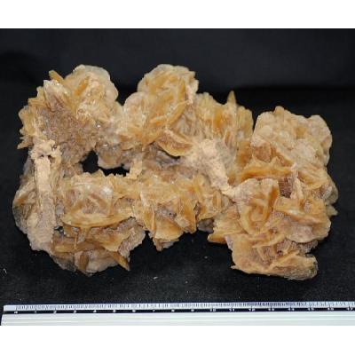 砂漠のバラ　デザートローズ（サハラ砂漠・チュニジア） 砂漠のバラ（デザートローズ ジプサム）チュニジア産