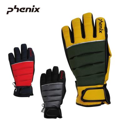 PHENIX フェニックス スキーグローブ MENS】Phenix GORE Mens Gloves フェニックスゴアメンズグローブ