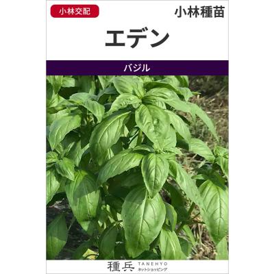 スイートバジル（種、種子） | 花、ガーデニング のおすすめ人気商品