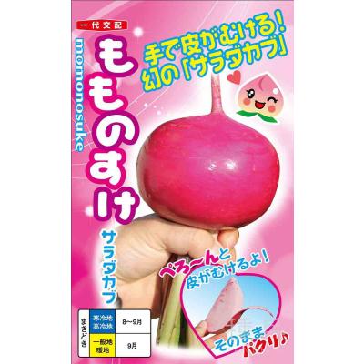 赤かぶ（種、種子） | 花、ガーデニング のおすすめ人気商品一覧 通販