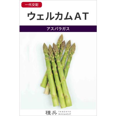 アスパラガス ウェルカムAT 100粒✖️5袋　500粒 アスパラガス ウェルカムAT 100粒✖️5袋500粒