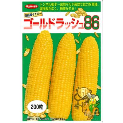 ゴールドラッシュ とうもろこし 種のおすすめ人気商品一覧 通販
