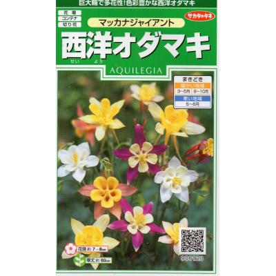 オダマキのおすすめ人気商品一覧 通販 - Yahoo!ショッピング