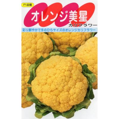 カリフラワーのおすすめ人気ランキングTOP100 - Yahoo!ショッピング