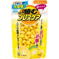 小林製薬　噛むブレスケア　レモンミント味　パウチ　１００粒　１個（お取寄せ品) | ぱーそなるたのめーる