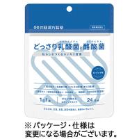 井藤漢方製薬　どっさり乳酸菌と酪酸菌　２４日分　２ｇ／袋　１パック（２４袋）（お取寄せ品) | ぱーそなるたのめーる