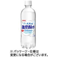 サンガリア　伊賀の天然水　強炭酸水　５００ｍＬ　ペットボトル　１ケース（２４本） | ぱーそなるたのめーる