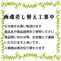 メール便 送料無料 あすつく UZU ウズ アイオープニングライナー ライトブルー | タンセラショップ・にこにこドラッグ